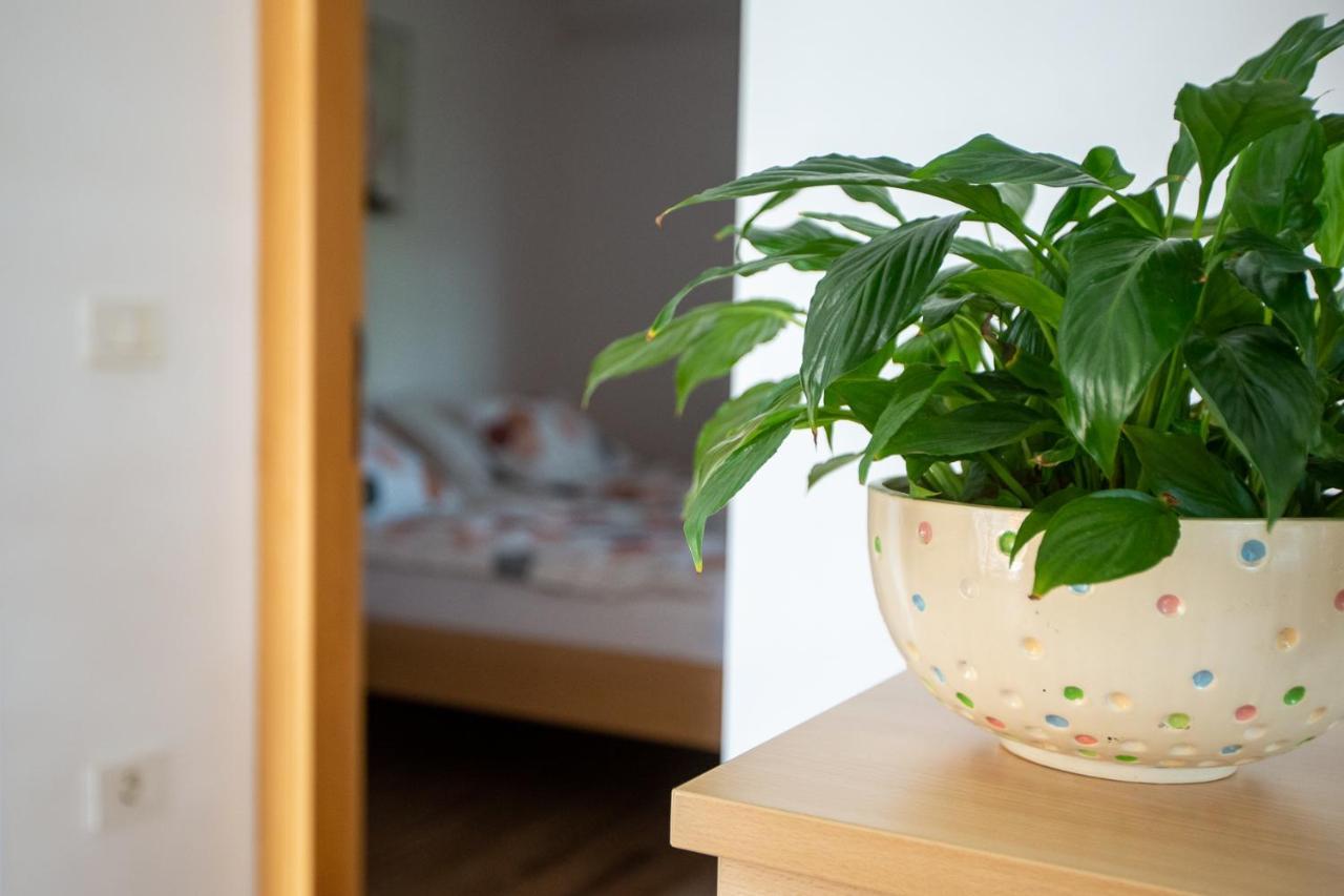 Apartments And Rooms Jeselnik Portoroz Ngoại thất bức ảnh